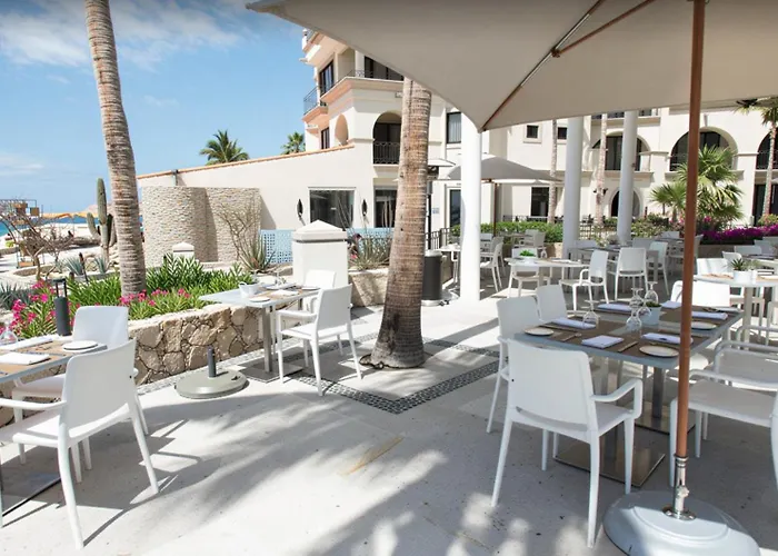 Junior - Dreams * San Jose del Cabo
